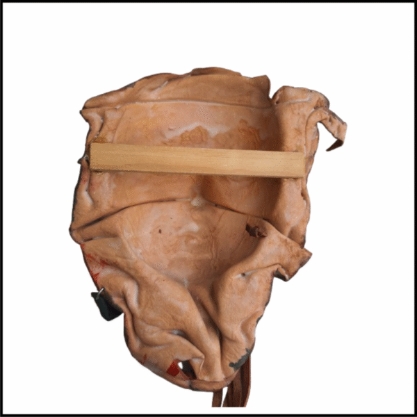 ADSPL-Store Souvenir of Venice, Lady with Feathers in shades of Brown, Italian Leather Hand Crafted home decoration Wall Hanging Mask - Size - 8.25x6 inches approx