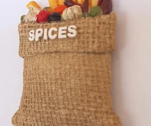 Indian-Fridge-Magnet