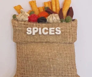 Indian-Fridge-Magnet